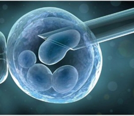 长春市妇产医院试管婴儿网上预约挂号—绿色通道免排队