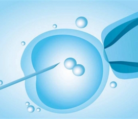 小主人应该懂得哪些待客礼仪