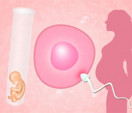 新生儿头面部、五官的生理特点