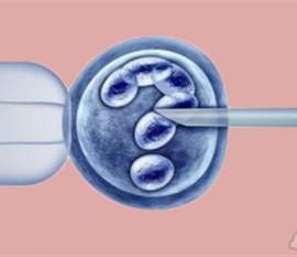 走进实验室 探秘“试管婴儿”诞生全程