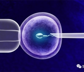 中药搭配饮食加生活调理，改善精子不成熟就这么办